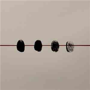 Wallflower  - Where It Fell Apart