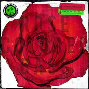David Heartbreak - Rose Colored Bass