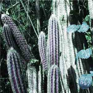 FUNERALS  - Wander Drift