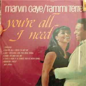 Marvin Gaye & Tammi Terrell - You're All I Need
