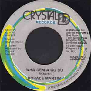 Horace Martin / Chariot Riders - Wha Dem A Go Do / Dub Style