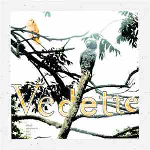 Vedette - I Slept Moments For You