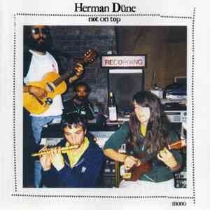 Herman Düne - Not On Top
