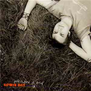 Howie Day - Perfect Time Of Day
