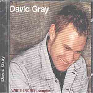 David Gray - White Ladder Sampler