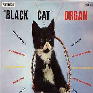 Black Cat Organ - Famous Mortier Organ