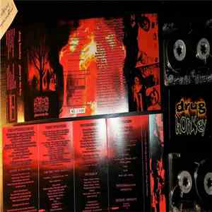 Drug Honkey - Ghost in the Fire