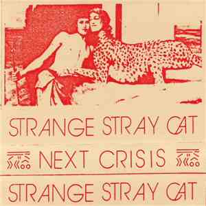 Next Crisis - Strange Stray Cat