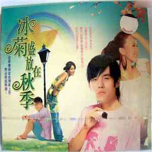 Various - 冰菊盛放在秋季