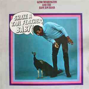 Geno Washington And The Ram Jam Band - Shake A Tail Feather