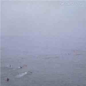 Growing - The Sky's Run Into The Sea