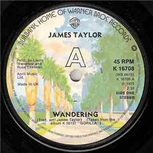 James Taylor - Wandering / Angry Blues
