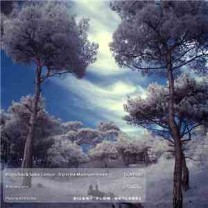 Kriipis Tulo & Space Contour - Trip In The Mushroom Forest