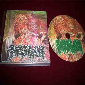 Dissolved  - Ridiculously Decomposed Bitch Butchered And Made Into A Playth ...