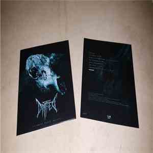 Drifted - No Front Teeth (Deluxe)
