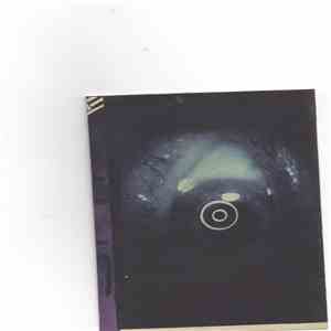 SPIN  - Pot Purri (De Putredine)