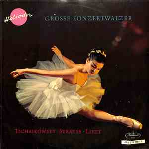 Pyotr Ilyich Tchaikovsky Tschaikowsky Franz Liszt Liszt Strauss - Grosse Ko ...