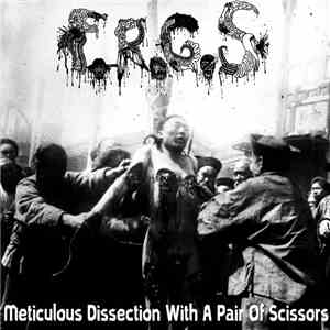 Festering Recto Gangrenous Slime - Meticulous Dissection With A Pair Of Scissors