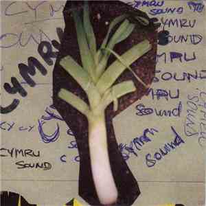 Various - Cymru Sound
