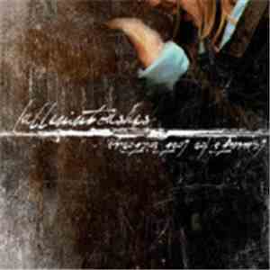 Fallen Into Ashes - Laments For Lost Victories