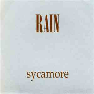 Rain  - Sycamore