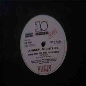 Animal Nightlife - Boys With The Best Intentions