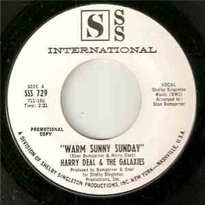 Harry Deal And The Galaxies - Warm Sunny Sunday