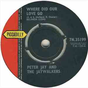 Peter Jay And The Jaywalkers - Where Did Our Love Go