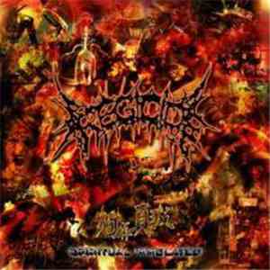 Regicide  - Spiritual Immolated