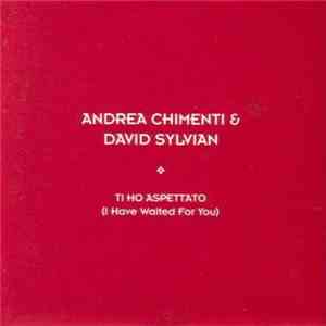 Andrea Chimenti & David Sylvian - Ti Ho Aspettato (I Have Waited For You)