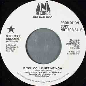 Big Bam Boo - If You Could See Me Now