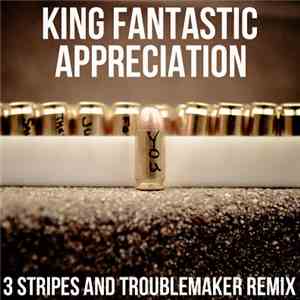 King Fantastic - Appreciation (3 Stripes And Troublemaker Remix)
