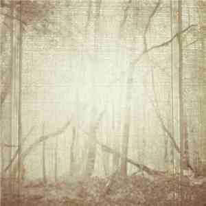 Superstorms - Superstorms