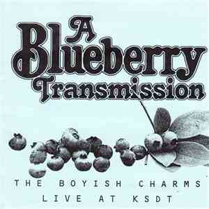 The Boyish Charms - A Blueberry Transmission (live at KSDT)