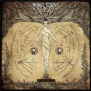 A Tree Of Signs - Salt