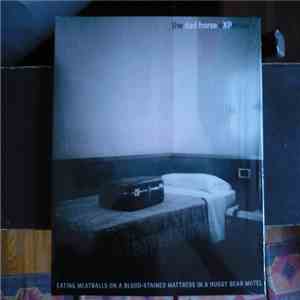 The Dad Horse Experience - Eating Meatballs On A Blood-Stained Mattress In ...