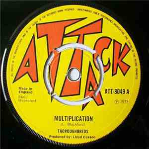 Thoroughbreds - Multiplication