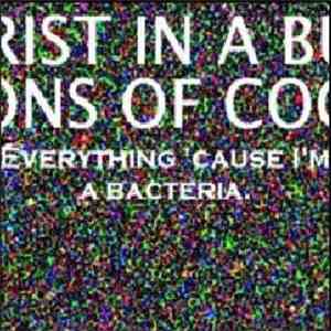 Christ In A Bucket And The Sons Of Cock - Everything 'Cause I'm A Bacteria.