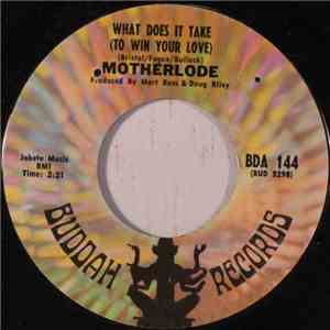 Motherlode  - What Does It Take (To Win Your Love)