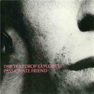 The Teardrop Explodes - Passionate Friend
