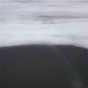 Darius Ciuta - F-I