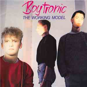 Boytronic - The Working Model