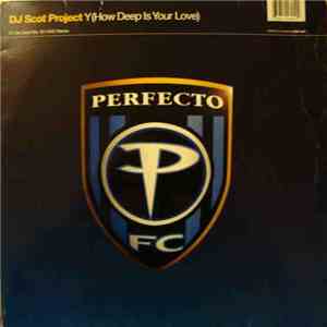 DJ Scot Project - Y (How Deep Is Your Love)
