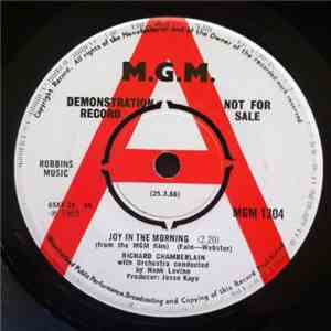 Richard Chamberlain - Joy In The Morning (from the MGM film)
