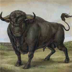 San Fermin - San Fermin