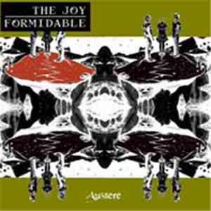 The Joy Formidable - Austere