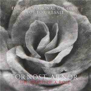 Fornost Arnor - The Death Of A Rose