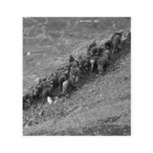 Various - Mount Ananea 