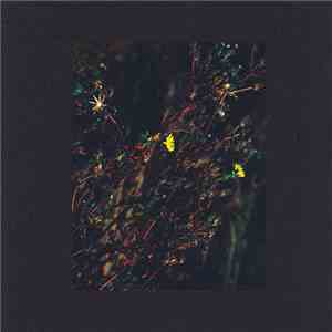 Dark Sky  - The Passenger / The Walker (Roman Flügel Remix)