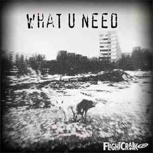 Flightcrank - What U Need